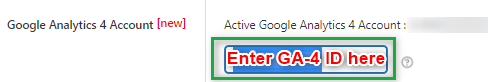 How to Use Google Analytics Data to Improve Your Store’s Sales? 4 Enter GA4 ID
