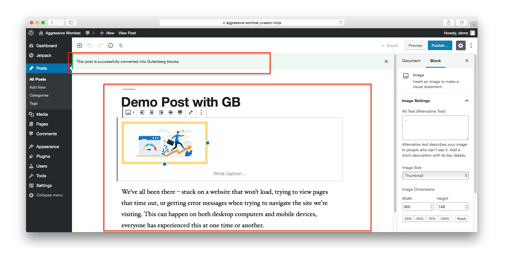 Success - Convert from Classic Editor to Gutenberg 