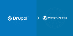 The Comprehensive Guide to Migrating from Drupal to WordPress-mobile-img